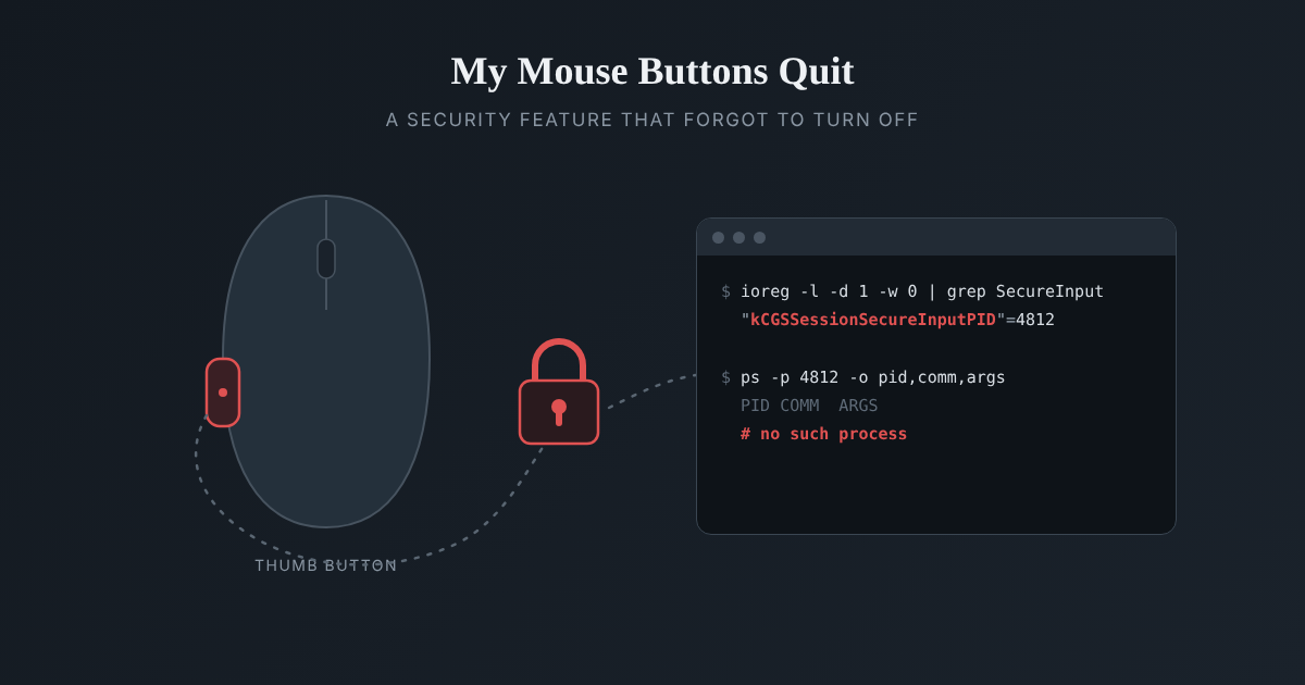 A mouse with its thumb button highlighted, a padlock, and a Terminal window showing the Secure Input process ID and no matching process